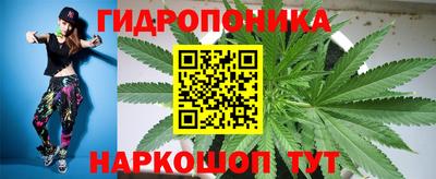 прущие грибы Кумертау