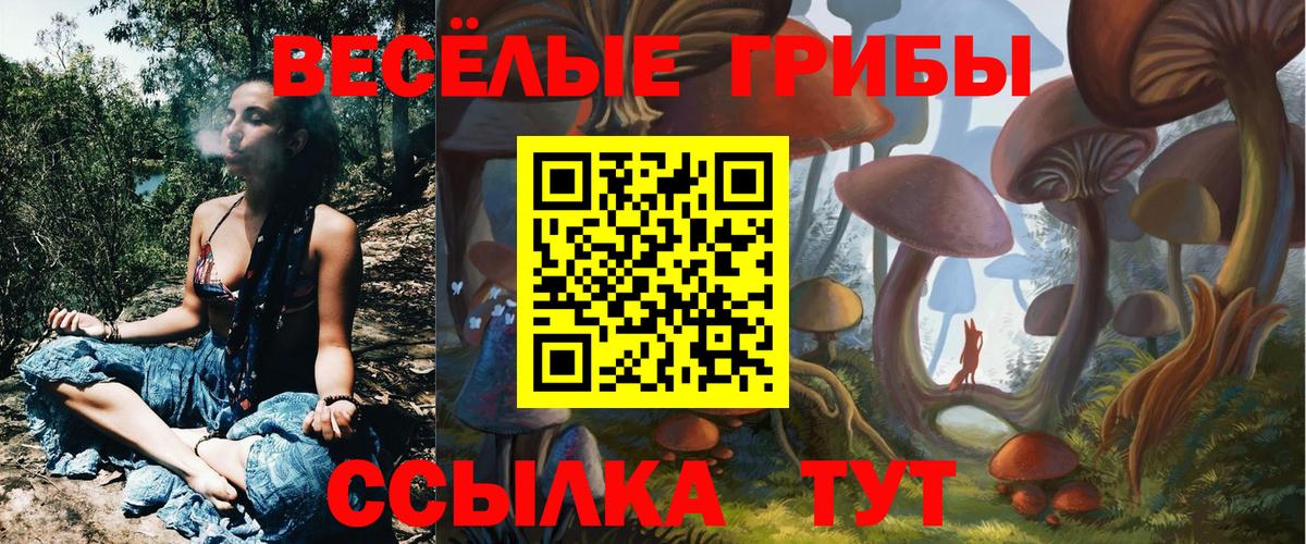 ГАШИШ  Меф МЯУ МЯУ  Каннабис  Cocaine  Кимры  Alpha-PVP СК кристаллы  Мефедрон кристаллы  Вход с VPN 