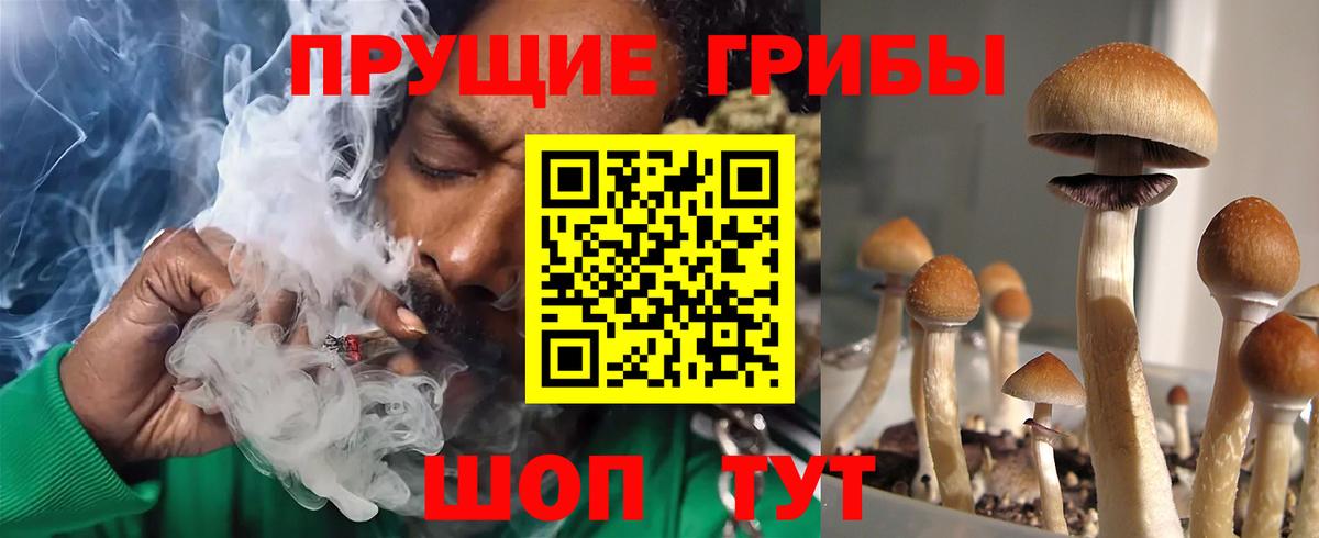 Псилоцибиновые грибы ЛСД Кимры