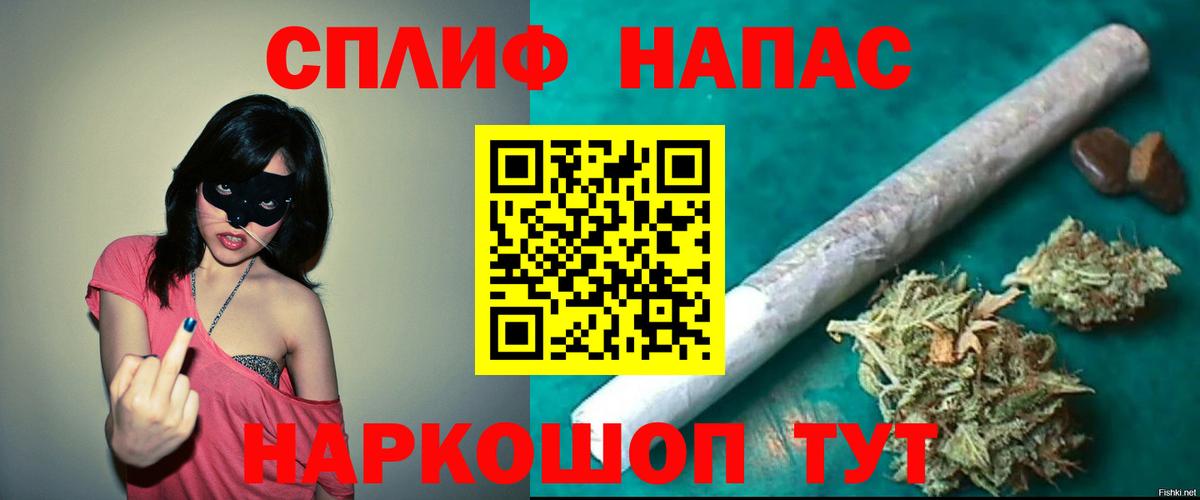 Шишки марихуана планчик Кимры